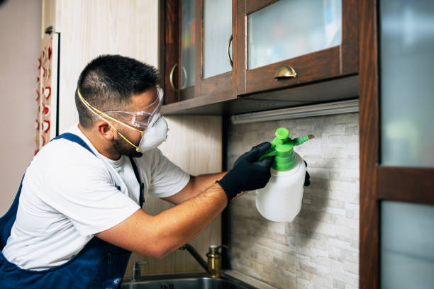 Best Cockroach Control Services  in North Branch, MI